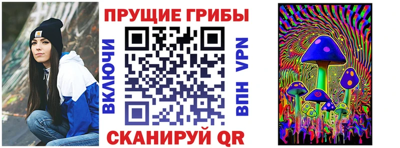 Псилоцибиновые грибы Psilocybine cubensis где можно купить наркотик ОМГ ОМГ сайт Белоозёрский